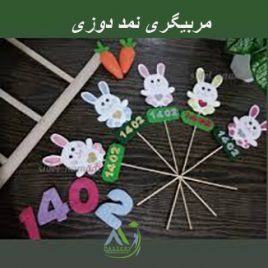دوره مربیگری نمد دوزی