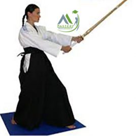دوره مربیگری آیکیدو