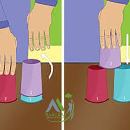 مربیگری لیوان چینی