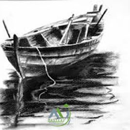 دوره مربیگری سیاه قلم