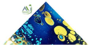 مدرسی میکس مدیا